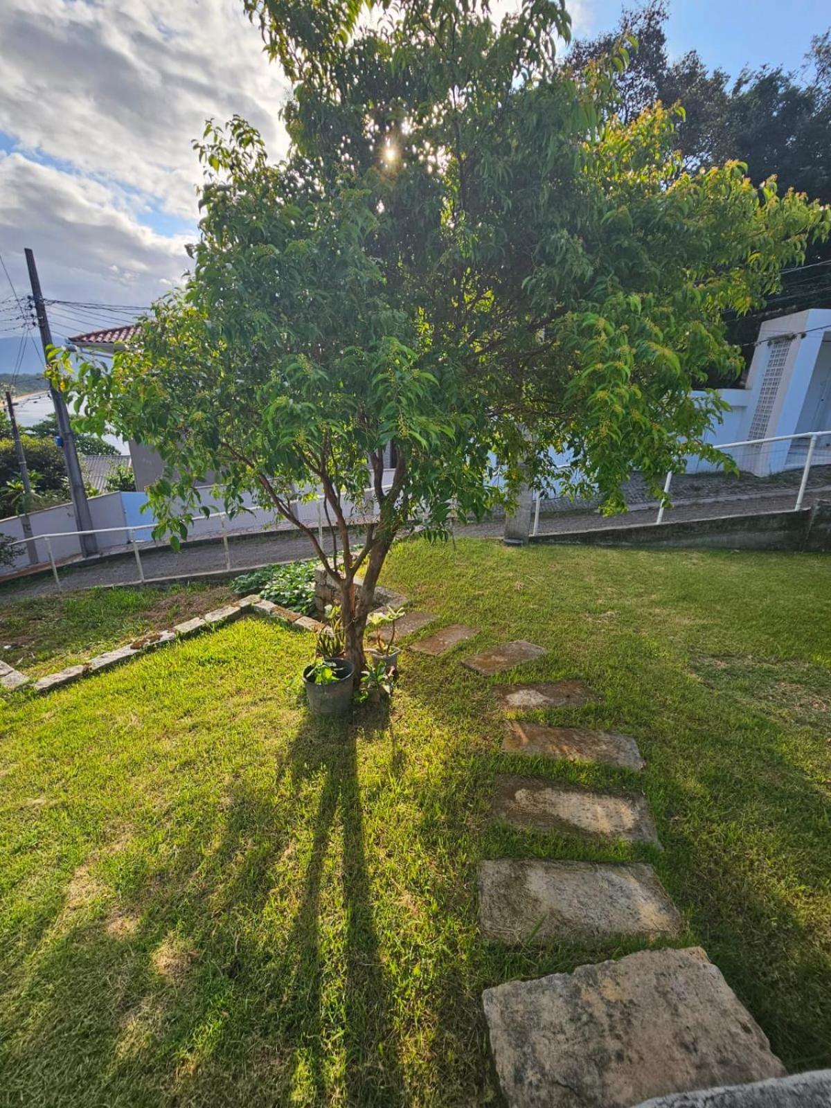 Apartamento Sossego, Linda Vista, 400mts E Home-office *